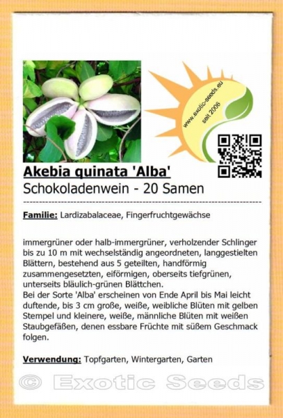 Akebia quinata 'Alba', 20-1.000 Samen